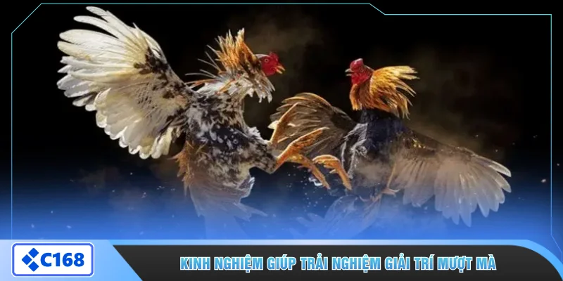 Kinh nghiệm giúp trải nghiệm giải trí mượt mà