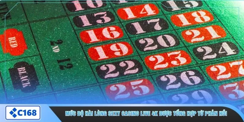 Mức độ hài lòng Sexy Casino Live 4K được tổng hợp từ phản hồi